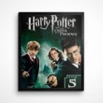 Bomboroda maxima - HP