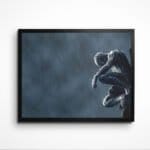 مرد عنکبوتی غمگین - spider-man