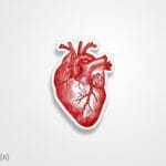 استیکر/ برچسب قلب