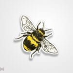استیکر/ برچسب زنبور