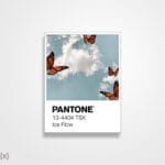 استیکر/ برچسب پنتون