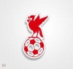 استیکر/ برچسب فوتبالی56