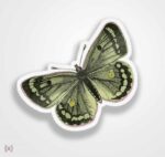 استیکر/ برچسب پروانه