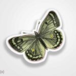 استیکر/ برچسب پروانه