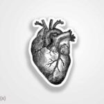 استیکر/ برچسب گلبم