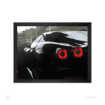 تابلو و پوستر - Forza Horizon - عنکبوت 458