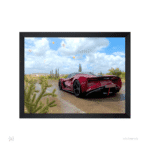 تابلو و پوستر - Forza Horizon - لوتوس در صحرا