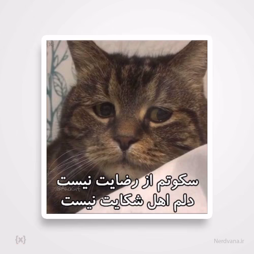 استیکر/ برچسب طرح سکوتم از رضایت نیست
